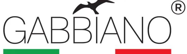 Gabbiano